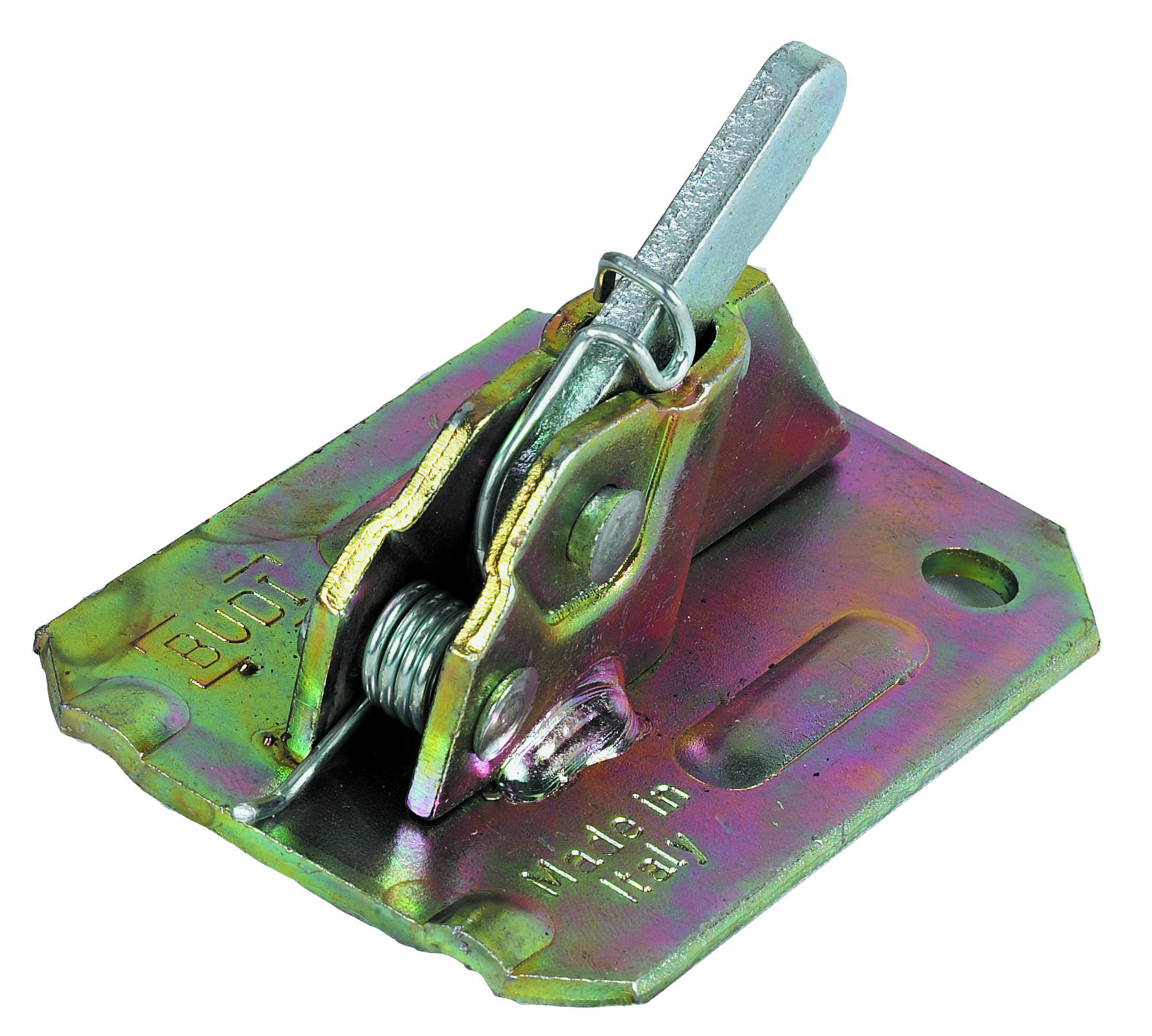 MORSET. BUDI MOLLA.jpg