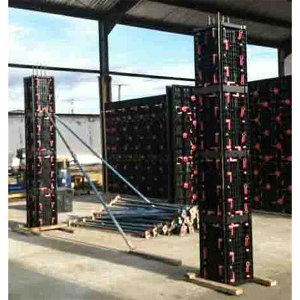 Cassef. pl. x pil.jpg